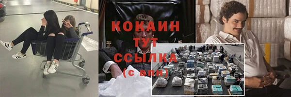 дживик Алексин