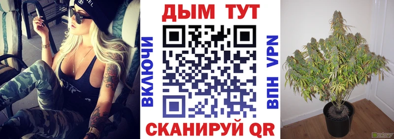 Шишки марихуана сатива  наркота  Симферополь 